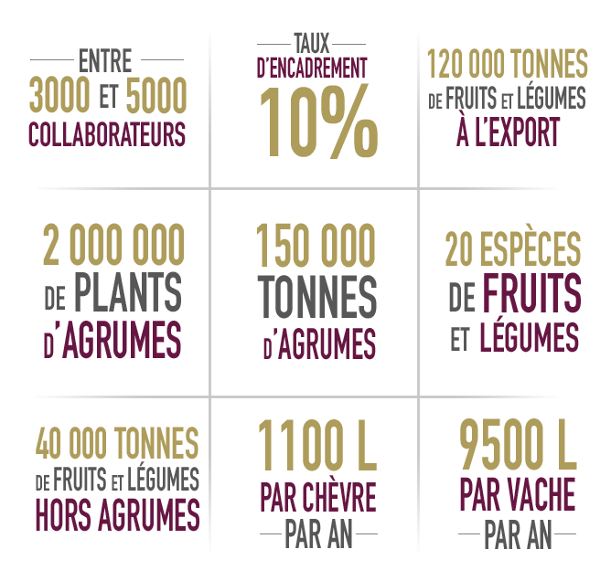 les domaines agricoles chiffres clés