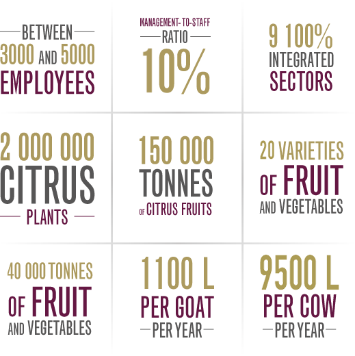KEY FIGURES