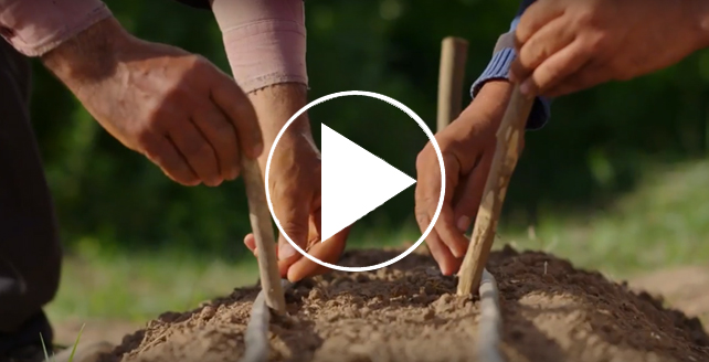 Film Développement durable