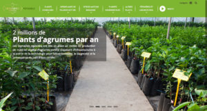 Les Domaines Pepinieres