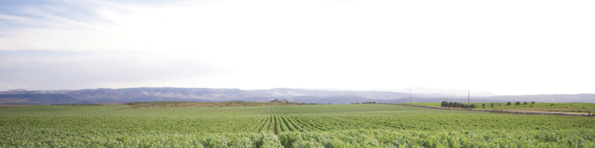 les domaines agricoles l'excellence est notre nature