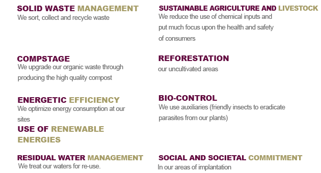 OUR INITIATIVES
