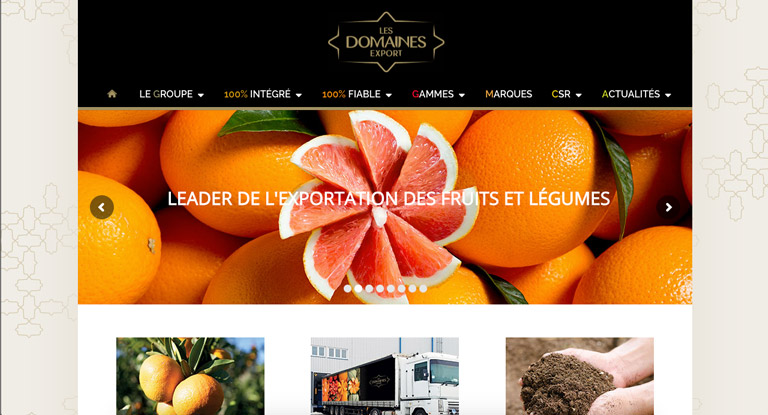 les domaines export