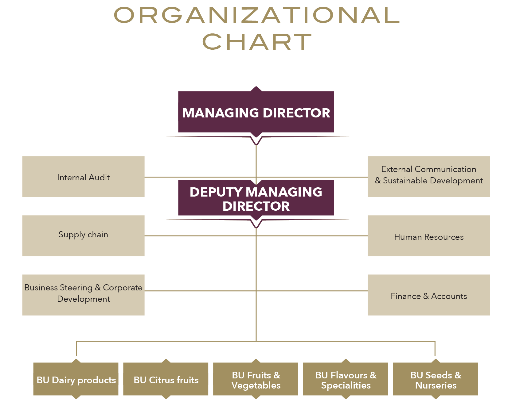 organizational chart