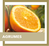 agrumes