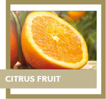 citrus fruit