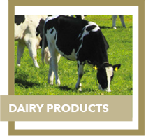 dairy products