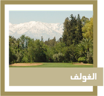 الغولف
