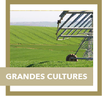 grandes cultures