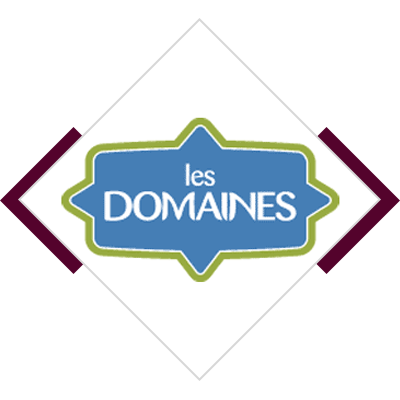 les domaines logo boutique