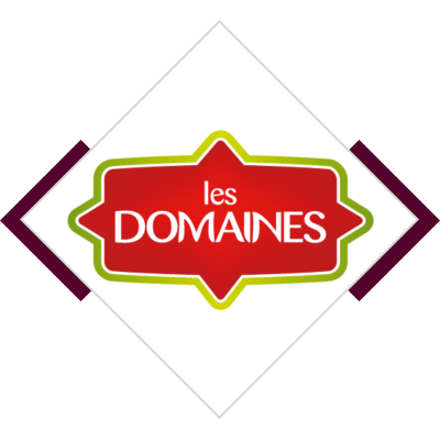 LES DOMAINES
