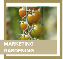 marketing gardening