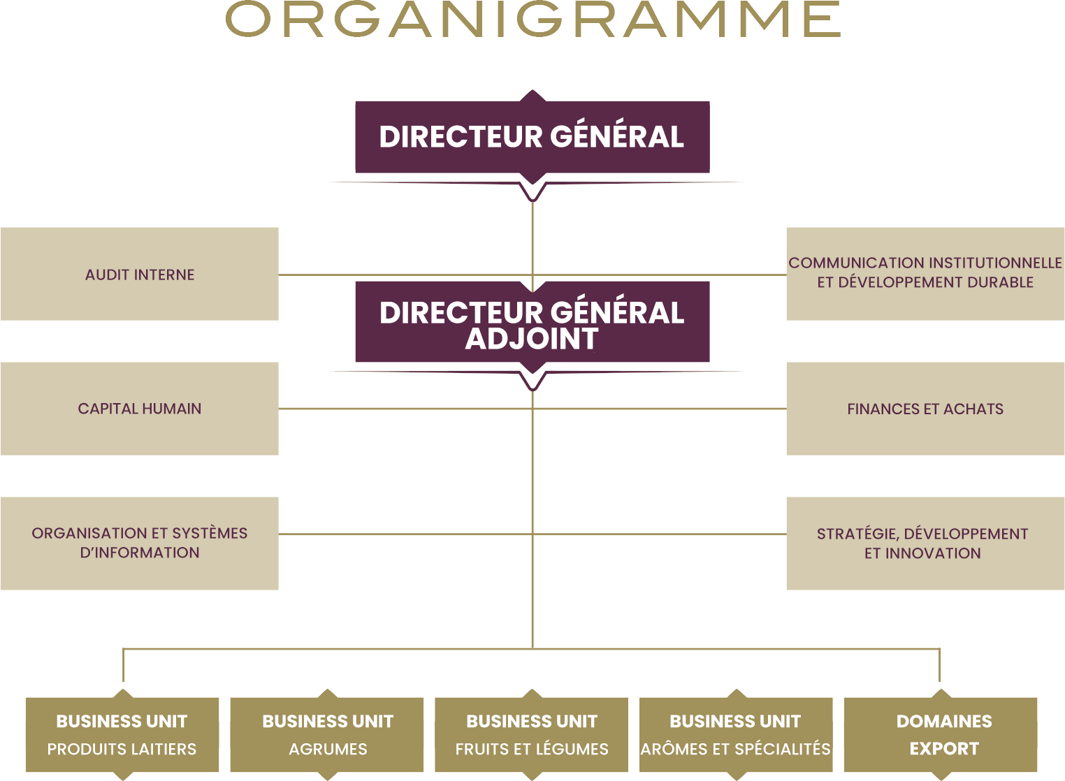 organigramme