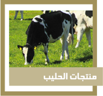 منتجات الحليب