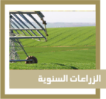 الزراعات السنوية